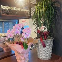 画像1308